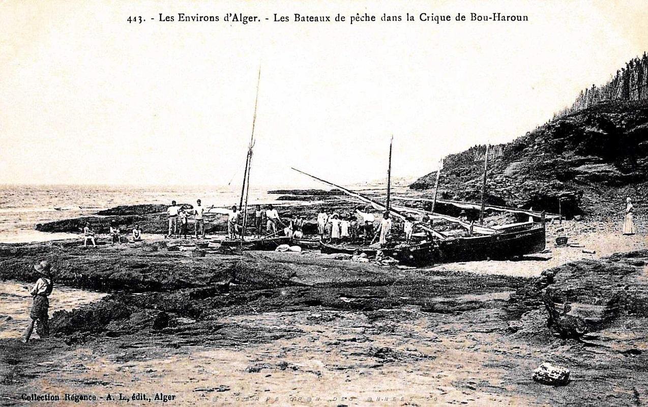 Bou-Haroun - Bateaux de Peche dans la Crique.jpg